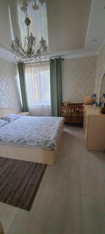 Дрогобицька 10В Апартаменти Truskavets Buitenkant foto